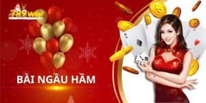 Bài Ngầu Hầm Tại 789Win: Trải nghiệm Game Cá Cược Độc Đáo