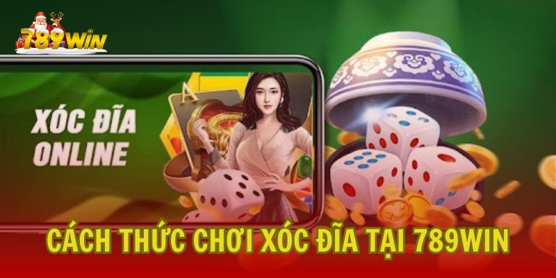 Hướng Dẫn Các Cách Thức Chơi Xóc Đĩa Tại 789Win