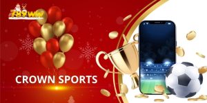 Crown Sports: Tổng Quan Về Thương Hiệu Và Các Sản Phẩm