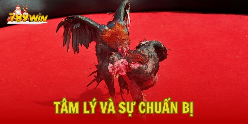 Tâm Lý Và Sự Chuẩn Bị Của Chiến Kê