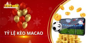 Tỷ Lệ Kèo Macao: Hướng Dẫn Cá Cược Và Chiến Lược Thắng Lớn Tại 789Win